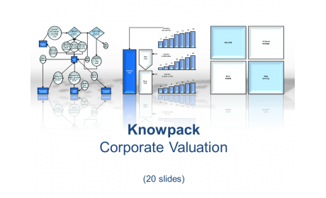 Corporate Valuation - 20 diagrams in PDF
